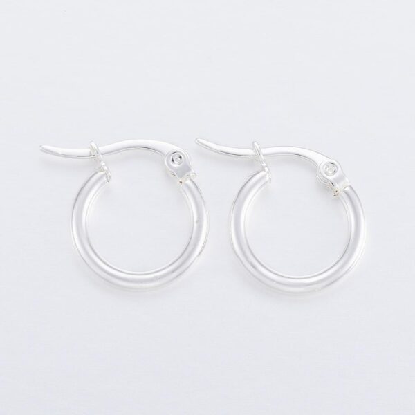 Kõrvarõngad "Hoop" 16x15x2mm (Stainless Steel, Silver)