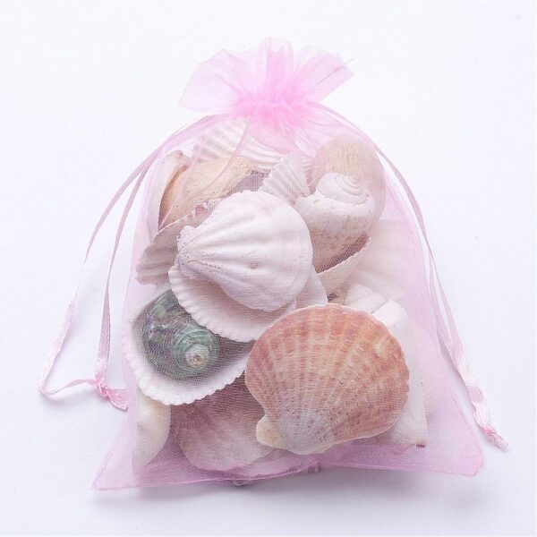 Organza Kott "Pink" 18x13cm