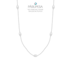 925 Hõbe Kaelakee (Silver)